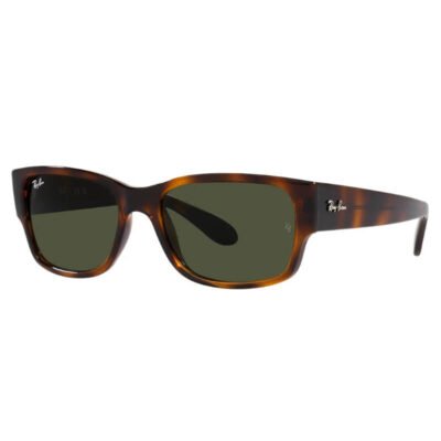 Γυαλιά Ηλίου Ray-Ban RB 4388 710/31 Erik